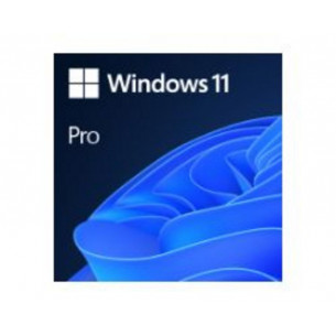 Windows 11 Pro 64-Bit OEM...