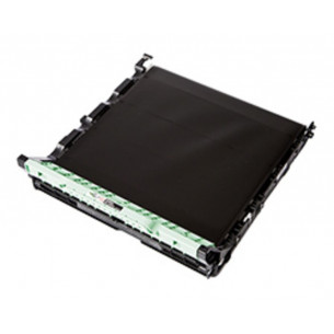 Cinturón de Arrastre...