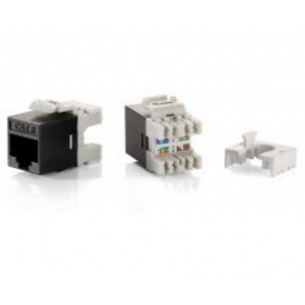 Conector Equip RJ45/H Cat.6...