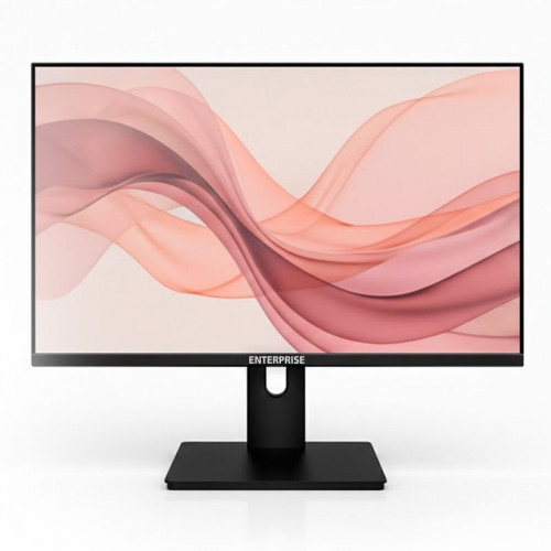 Monitor Enterprise Pro-View 24" IPS...