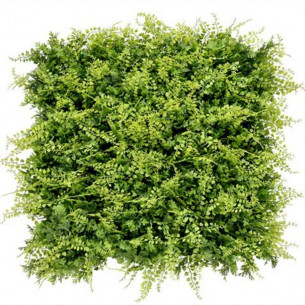 Jardín Vertical 50x50cm... 2