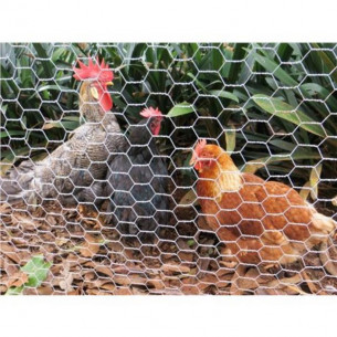 Malla Gallinero Hexagonal... 2
