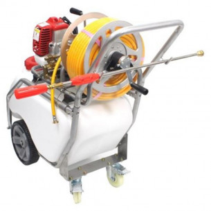 Carretilla de Sulfatar... 2