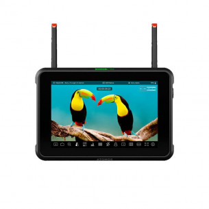 Monitor de Campo Atomos...