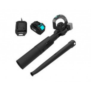 Soplador Cecotec AirForce 2...