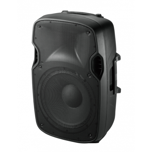 Altavoz Profesional Ibiza Sound XTK12...