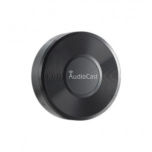 Receptor de Audio AudioCast...