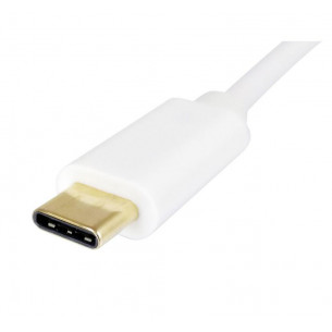 Adaptador EQUIP USB-C/M a... 2