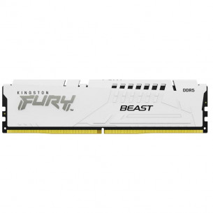 Módulo Kingston Fury Beast... 2