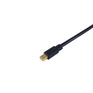 Cable EQUIP Mini DP/M a... 2