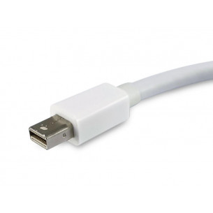 Adaptador EQUIP Mini DP/M a... 2