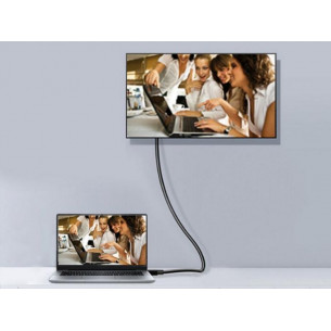 Cable EQUIP DP M/M Premium... 2