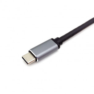 Docking Station EQUIP USB-C... 2