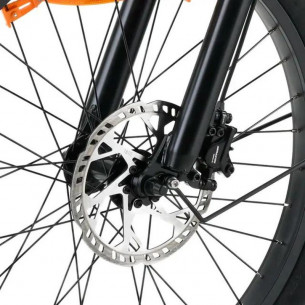 Bicicleta Eléctrica Youin... 2