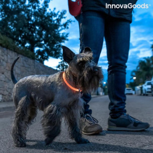 Collar INNOVAGOODS Mascotas... 2