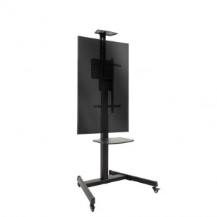 Soporte de Suelo TooQ... 2