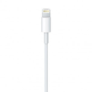 Cable Apple Original... 2