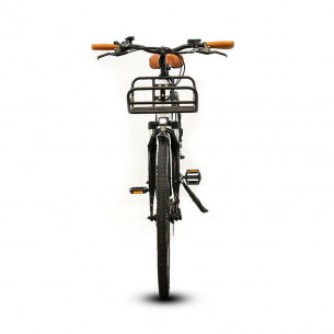 Bicicleta Eléctrica... 2