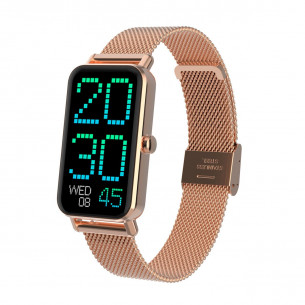 Smartwatch SWISS GO Lyss...