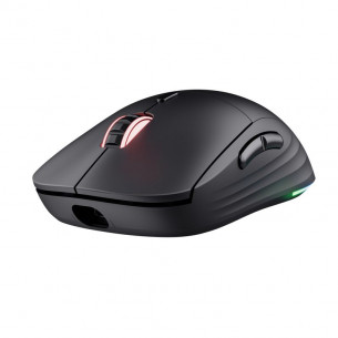 Ratón Gaming Trust GXT 927...