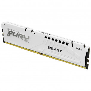 Módulo Kingston Fury Beast...