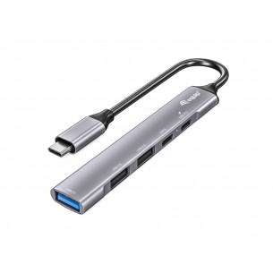 Hub EQUIP USB-C a 2xUSB 2.0...
