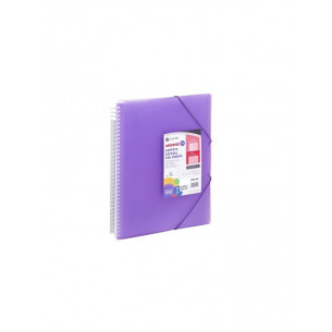 Carpeta A4 Carchivo con...