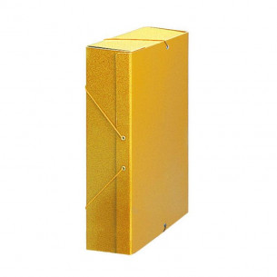 Carpeta de Proyecto Karman...