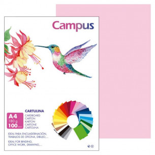 Cartulina A4 Rosa 180 g 100...
