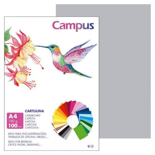 Cartulina A4 Gris Claro 180 g 100...