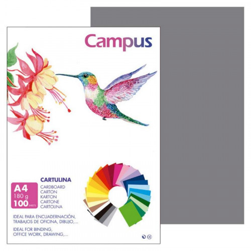Cartulina A4 Gris Oscuro 180 g 100...