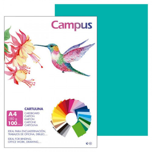 Cartulina A4 Verde Menta 180 g 100...