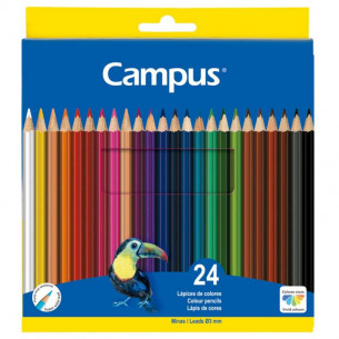 Lápices de Colores...