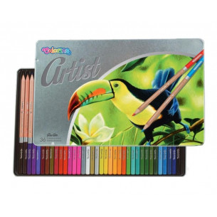 Lápices de Colores Artist...