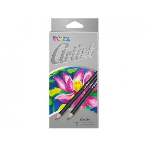 Lápices de Colores Artist 12 Unidades...