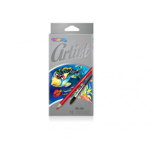Lápices Acuarelables Artist 12...