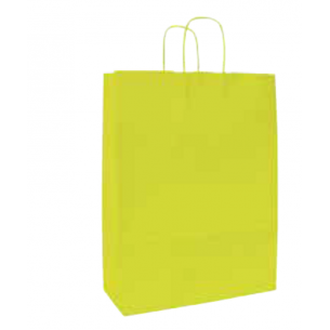 Bolsa de Asa Verde 18x25 cm...