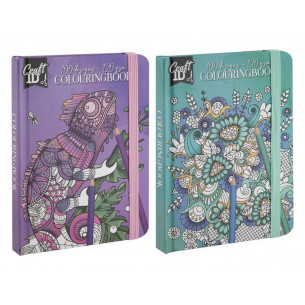 Libro para Colorear 12x16...
