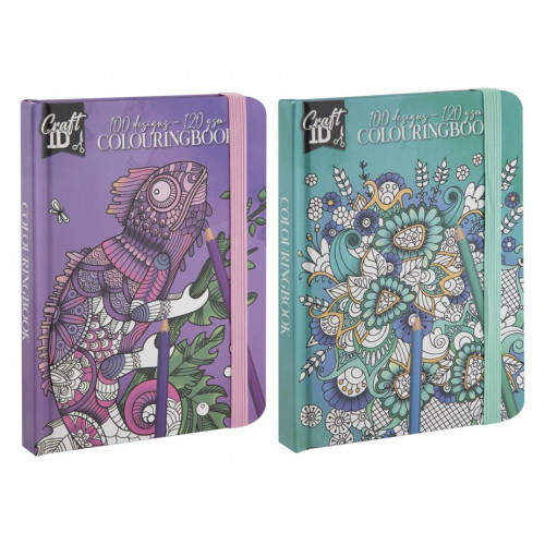 Libro para Colorear 12x16 cm 50 Hojas...