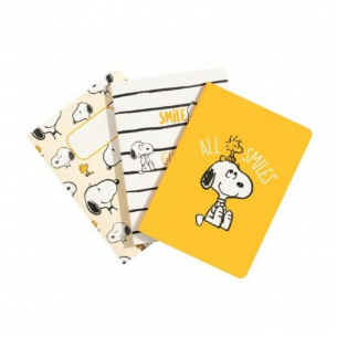 Pack de 3 Cuadernos A6...