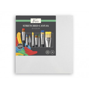Lienzo 25x25 cm 3 Unidades