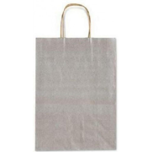 Bolsa con Asa 26x12x36 cm Plata