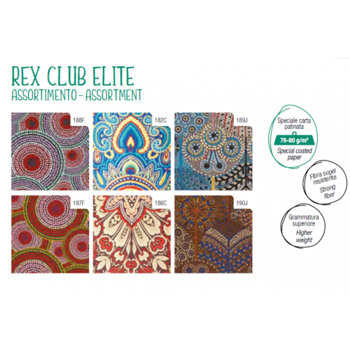Papel de Regalo Todo Tiempo Elite...