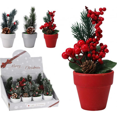 Flor de Navidad en Maceta de Cerámica