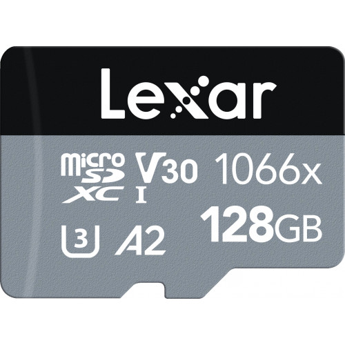 Lexar professional silver...