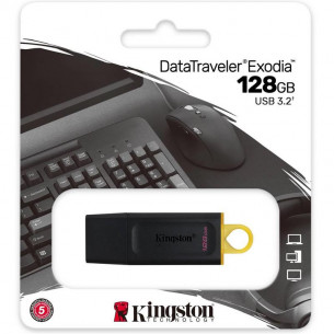 Kingston DataTraveler...