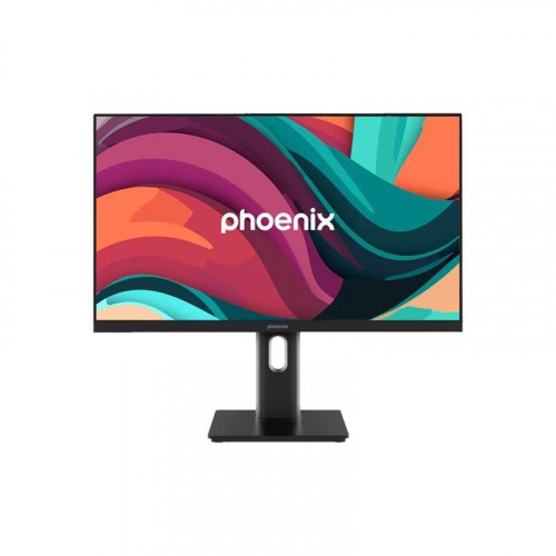 Phoenix Essence 24 Pro Monitor IPS 100Hz