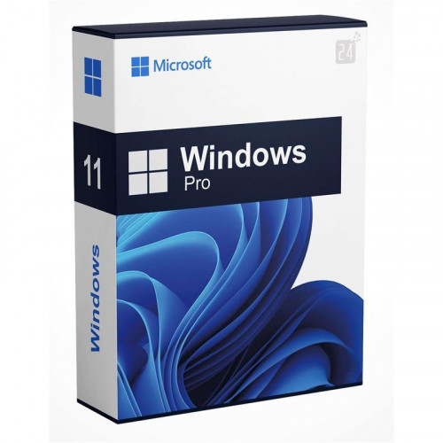 Windows 11 Professional 64 Bits