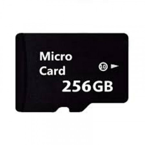 Tarjeta MicroSD 256GB Clase 10 para...