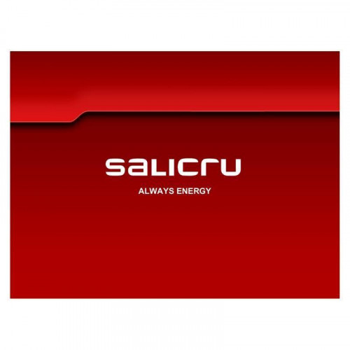 Salicru Web Adapter Tarjeta SNMP/Web...